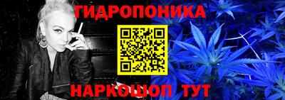 мдма Кингисепп