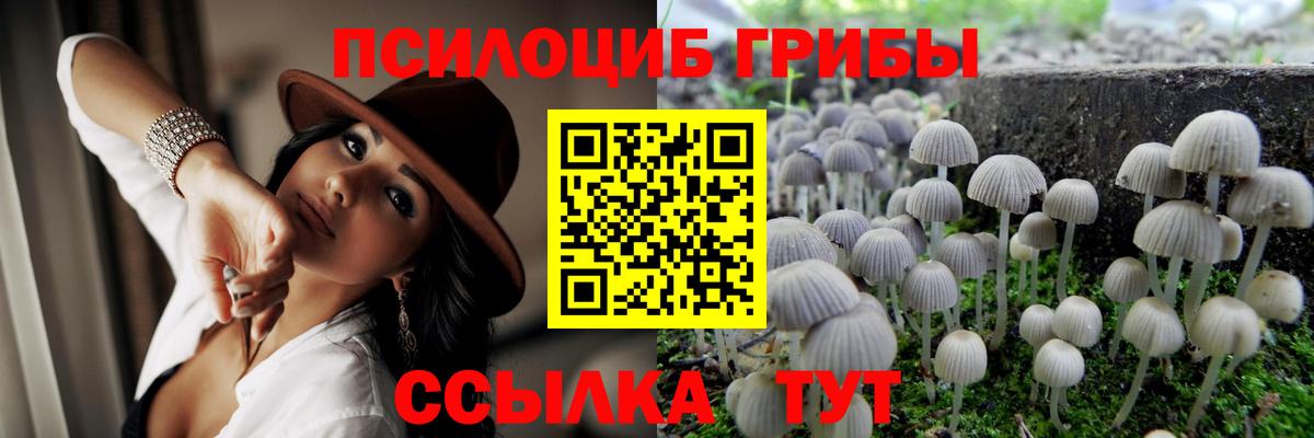 Псилоцибиновые грибы Psilocybe  Галлюциногенные грибы MAGIC MUSHROOMS  Благовещенск  Вход с VPN 